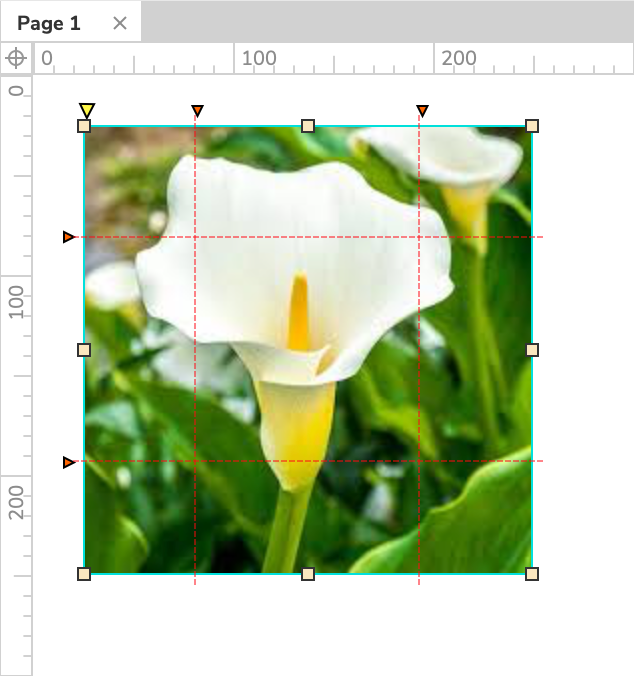 an image widget with preserved corners